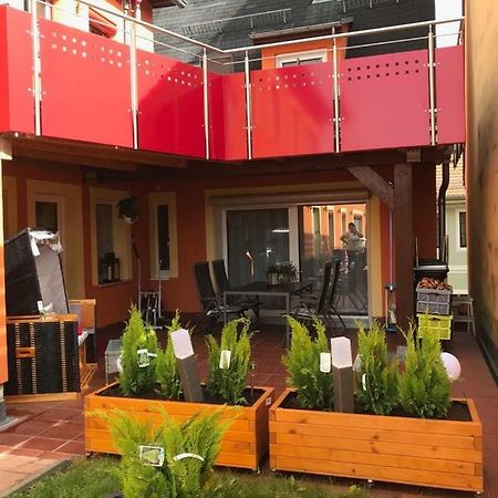 Ferienwohnung Albrecht Strandkorb Bad Schandau Εξωτερικό φωτογραφία